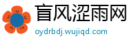 盲风涩雨网